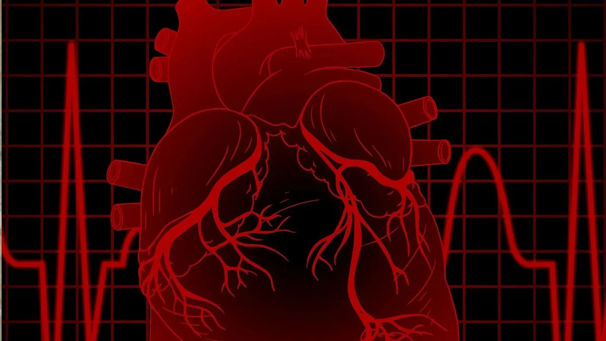 9-Year-Old Girl Suffers 2 Heart Attacks In One Hour, Dies After Fainting At School In Rajasthan's...
